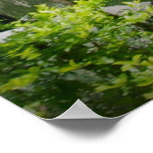 Er ist aufgewachsen, osterreligiöse Kunst Poster (Ecke)