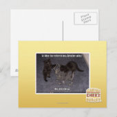 Er ist defekt postkarte (Vorne/Hinten)