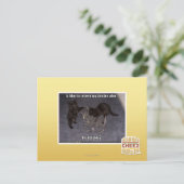 Er ist defekt postkarte (Stehend Vorderseite)