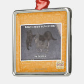 Er ist defekt silbernes ornament (Links)