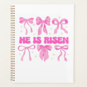 Er ist der rosafarbene Osterblütenbow Planer (Vorderseite)