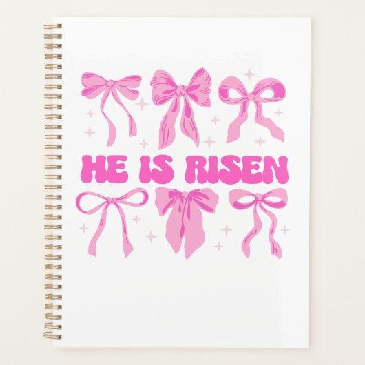 Er ist der rosafarbene Osterblütenbow Planer (Vorderseite)