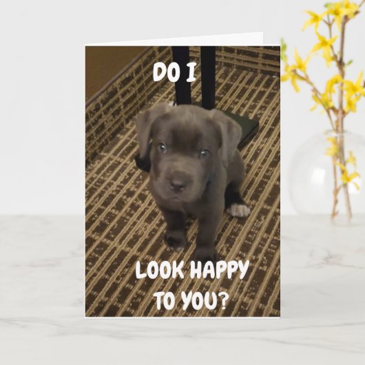 ER IST ERNST *VERGESSEN SIE MICH NICHT, WENN SIE G KARTE (Gelbe Blume)