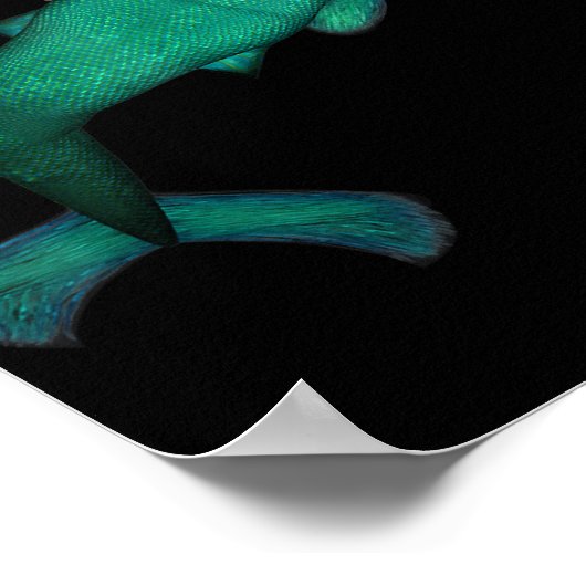 Er ist kein Meerjungfrau Er ist ein Dienstmädchen Poster (Ecke)