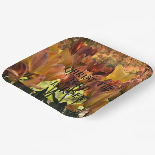 Er ist Rised Paper Teller (Gewinkelt)