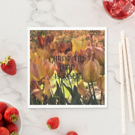 Er ist Rised-Papierservietten Serviette (Beispiel)