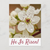 "Er ist Risen" Auferstehung Sonntag Postkarte (Vorderseite)