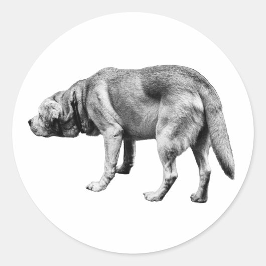 Er kennt den Weg Runder Aufkleber (Vorderseite)