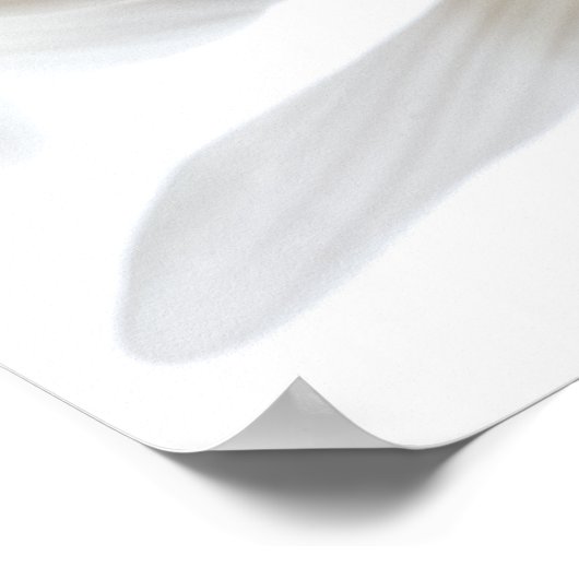 Er Liebe mich... er Lieben mich nicht Poster (Ecke)