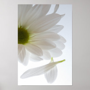 Er Liebe mich... er Lieben mich nicht Poster