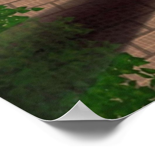 Er mit diesen Enten Poster (Ecke)