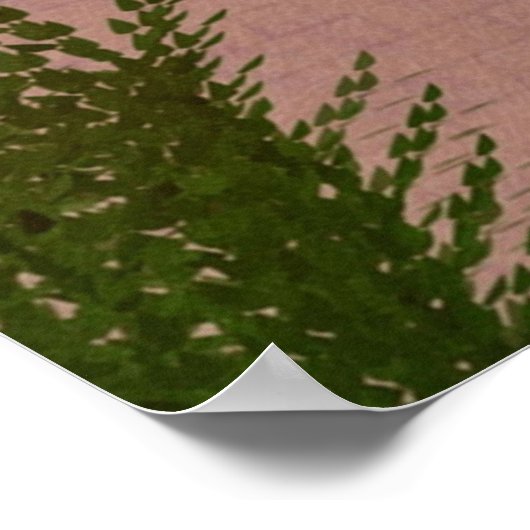 Er mit diesen Enten Poster (Ecke)