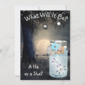 Er oder sie, Baby Shower Gender Reveal Dragonfly Einladung (Vorderseite)