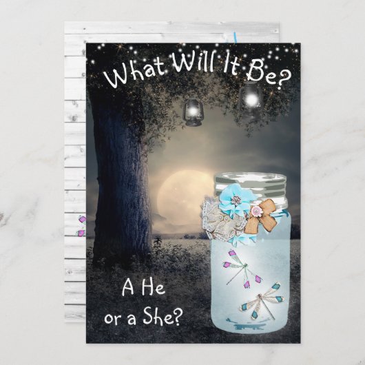 Er oder sie, Baby Shower Gender Reveal Dragonfly Einladung (Vorne/Hinten)