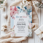 Er oder sie blasen Geschlecht offenbaren Baby-Dusc Einladung