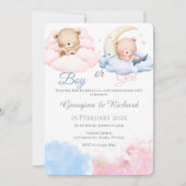 Er oder Sie Blau oder Rosa Geschlecht Enthüllung E Einladung (Vorderseite)