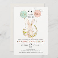 Er oder sie Bunny Balloons Geschlecht offenbart Ei