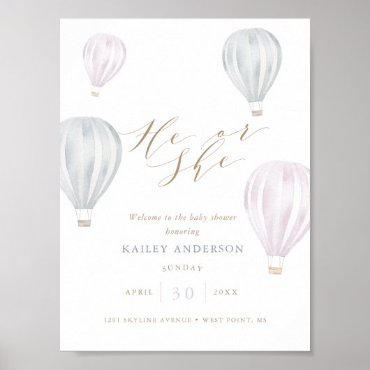 Er oder sie Geschlecht offenbaren Luftballon Babyd Poster (Vorne)