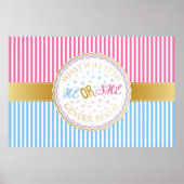 Er oder sie Geschlecht offenbaren Poster (Vorne)