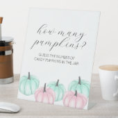 Er oder sie Little Pumpkin Gender Reveal Game Sign Sockelschild (In Situ)