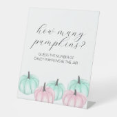 Er oder sie Little Pumpkin Gender Reveal Game Sign Sockelschild (Vorderseite)