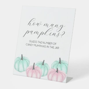 Er oder sie Little Pumpkin Gender Reveal Game Sign Sockelschild
