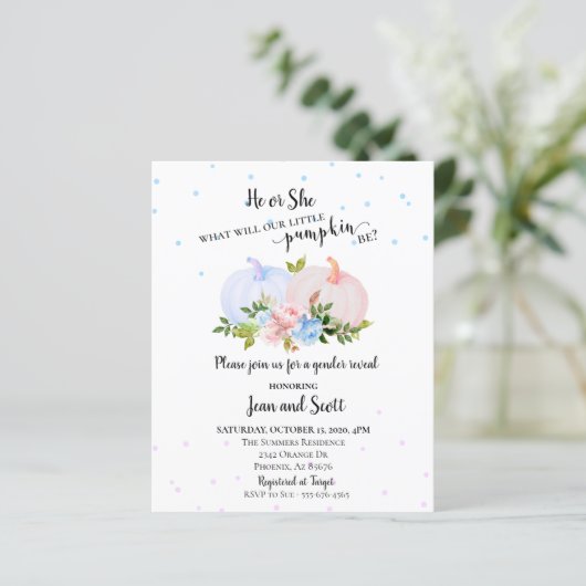 Er oder sie rosa Blue Pumpkin Gender Offenbarung H (Stehend Vorderseite)