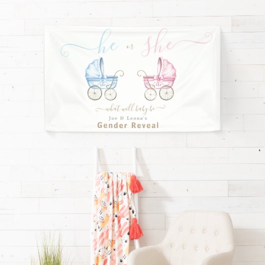 Er oder sie, rosa oder blaue Rollenerscheinung Banner (Insitu)