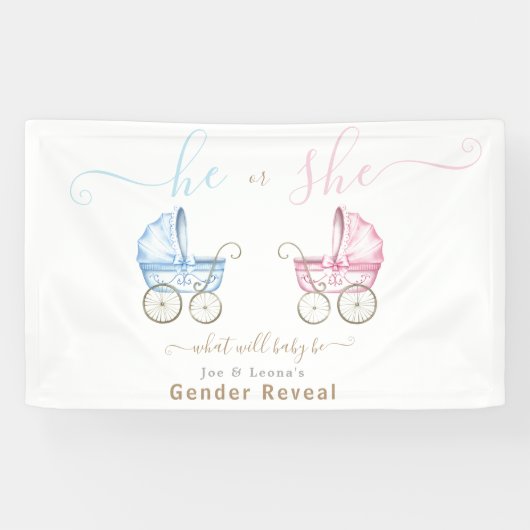 Er oder sie, rosa oder blaue Rollenerscheinung Banner (Horizontal)