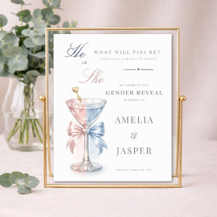 Er oder sie Rosa und Blau Gender Reveal Willkommen Poster