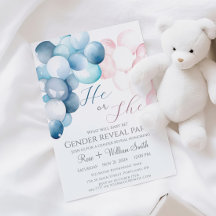 Er oder sie Watercolor Blue and Pink Gender Reveal