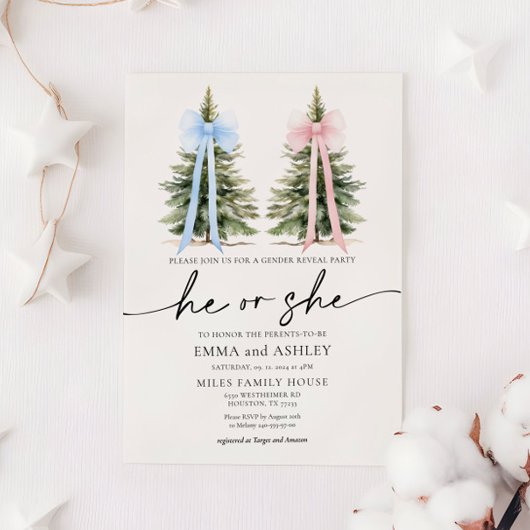 Er oder sie Winter Bow Gender Offenlegung Einladun Einladung