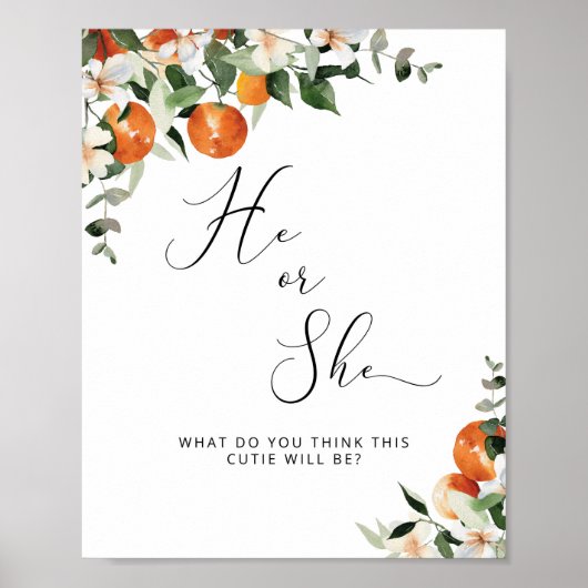 Er oder sie zeigen ein kleines Süsse-Geschlecht Poster (Vorne)