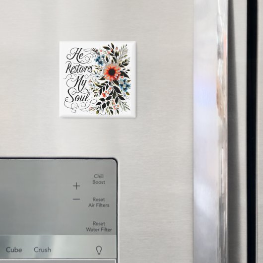 Er restauriert mein Soul Magnet (In Situ (Kühlschrank))