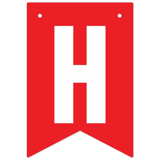 ER SETZTE EINEN RING AUF IHN! HOCHZEITS-VERLOBUNG WIMPELKETTE (Zweite Fahne)