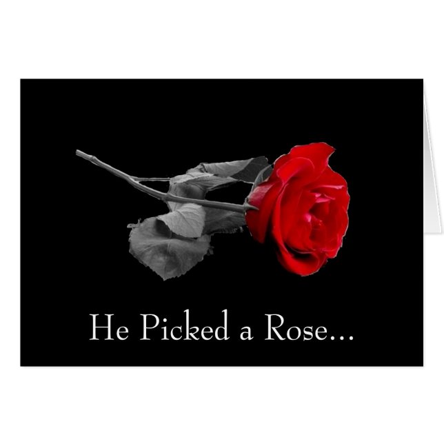 Er wählte eine Rose… aus (Vorderseite (Horizontal))