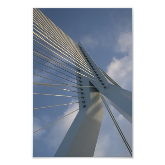 Erasmus-Brücke, Rotterdam Fotodruck (Vorne)