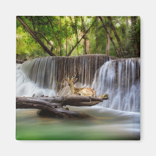 Erawan Wasserfall mit Hirsch Entspannen Magnet (Vorne)
