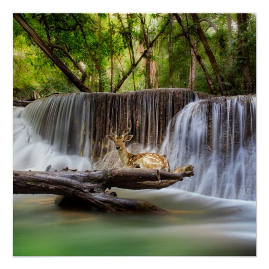 Erawan Wasserfall mit Hirsch Entspannen Poster (Vorderseite)