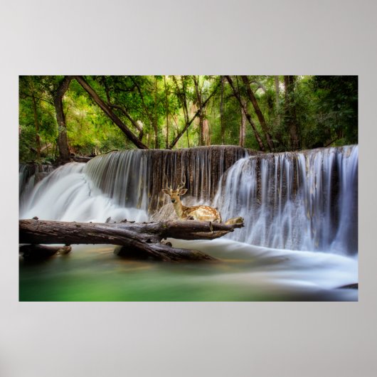 Erawan Wasserfall mit Hirsch Entspannen Poster (Vorne)