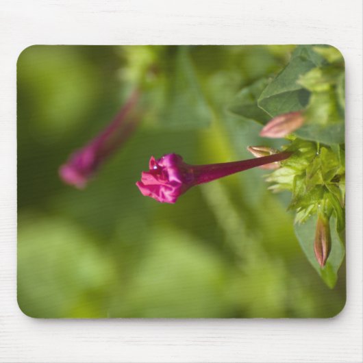 erbaute Blume Mousepad (Vorne)
