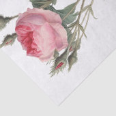 Erblassen Sie - das rosa Vintage Rosenmalen Seidenpapier (Ausschnitt)