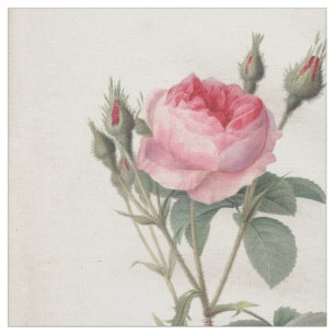 Erblassen Sie - die rosa Vintagen Rosen, die Stoff