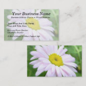 Erblassen Sie - Rosa gemaltes Gänseblümchen Visitenkarte (Vorne/Hinten)