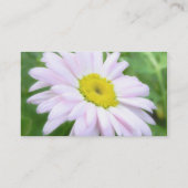 Erblassen Sie - Rosa gemaltes Gänseblümchen Visitenkarte (Rückseite)