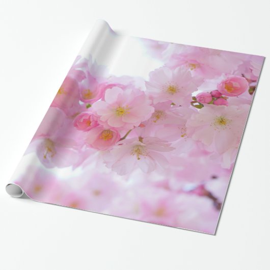 Erblassen Sie - rosa Kirschblüten Geschenkpapier (Ungerollt)