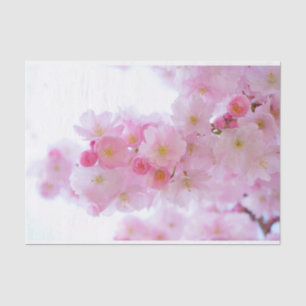 Erblassen Sie - rosa Kirschblüten Seidenpapier