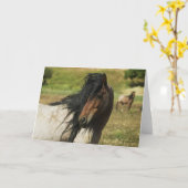 Erblicken Sie die Schönheit Karte (Gelbe Blume)