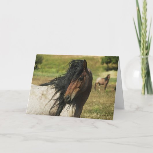 Erblicken Sie die Schönheit Karte (Vorderseite)