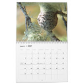 Erbphotographie-Kalender 2013 Kalender (Mär 2027)